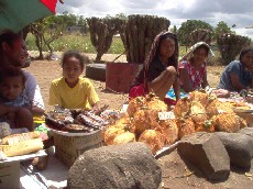 Talapia and coconuts