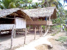 Houses on river at Apanaifi